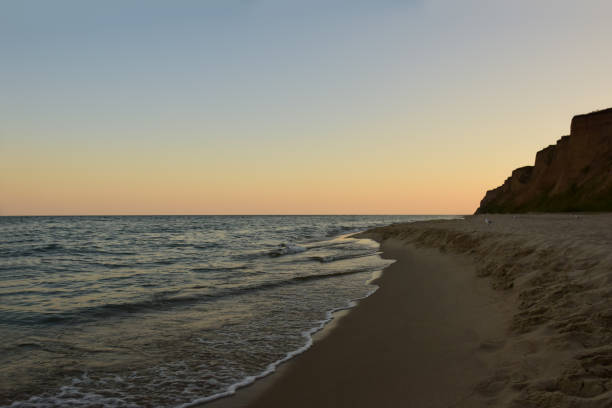 istock Morning sea sandy beach, with rocks and several distant seagulls 1334923253