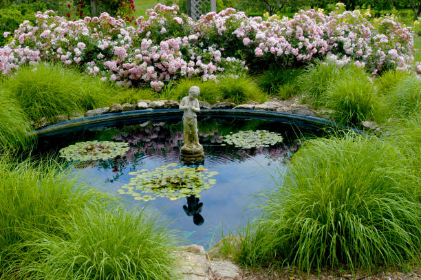istock A garden reflection pond with flowers and grasses surrounding it. 1334925410
