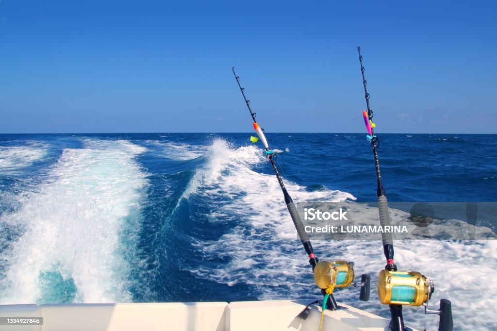 Trolling Fishing Boat Rod And Golden Saltwater Reels Stock Photo - Download  Image Now - iStock