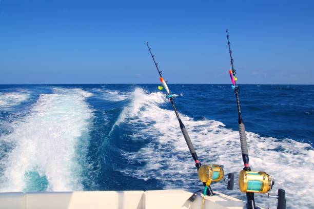 vara de barco de pesca trolling e bobinas de água salgada dourada - fishing fishing industry sea fish - fotografias e filmes do acervo