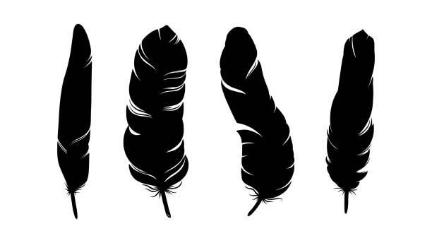 Bird feather silhouette. Decorative set of feathers isolated in white background. Vector illustration Bird feather silhouette. Decorative set of feathers isolated in white background. Hand drawn vector illustration cursive letters tattoos silhouette stock illustrations