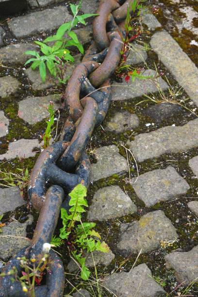 istock Old rusty anchor chain lying across uneven paving stones with plants growing through the cracks 1334934718