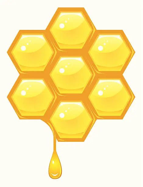 Vector illustration of Honeycomb vector