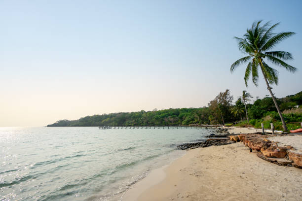 istock Beautiful beach and tropical sea blue sky. 1334942475