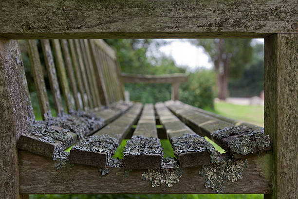 Low side angle of a park bench. The old bench made of wood with moss growing on it