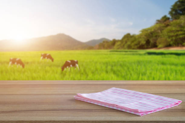 Empty old wooden table and pink checked tablecloth over blurred background of the rural meadows and cows, mountain, blue sky among bright sunlight on a clear day. Can be used for display or montage fo stock photo
