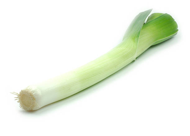 Leek isolated on white background stock photo