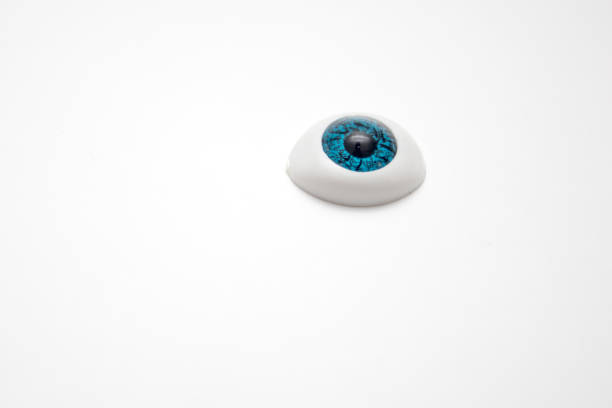 istock Prosthetic of artificial eyeball isolated on white background 1334946579