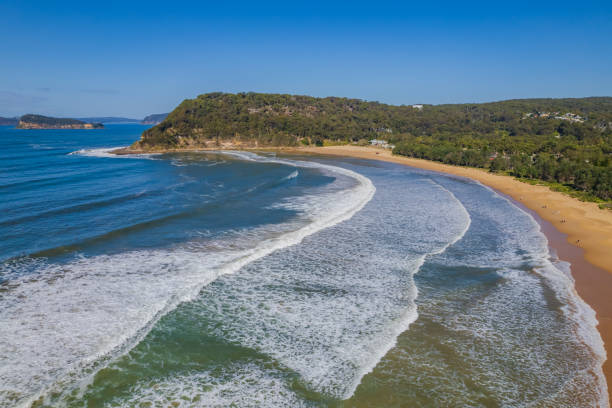 istock Surfs up at the beach 1334956522