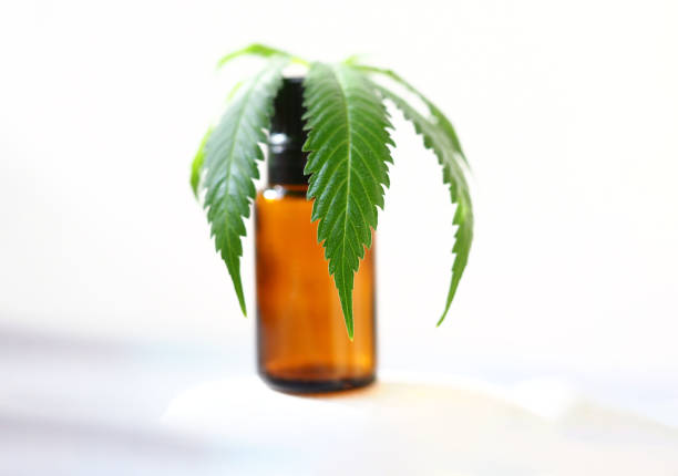 istock cbd Oil and hemp leaf.bottle extract cannabis 1334963093