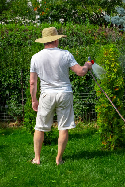istock The man is watering the plantings 1334963470