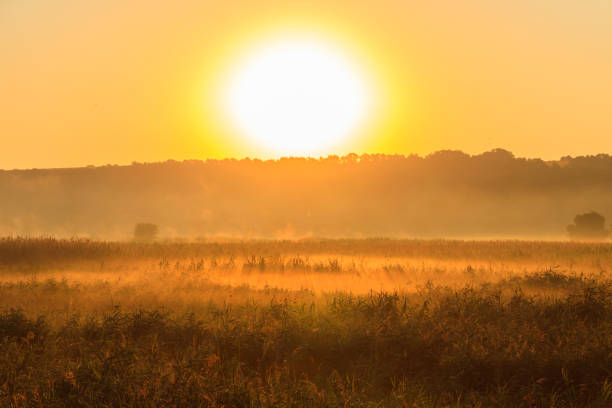 istock Beautiful sunrise over a foggy meadow 1334963980