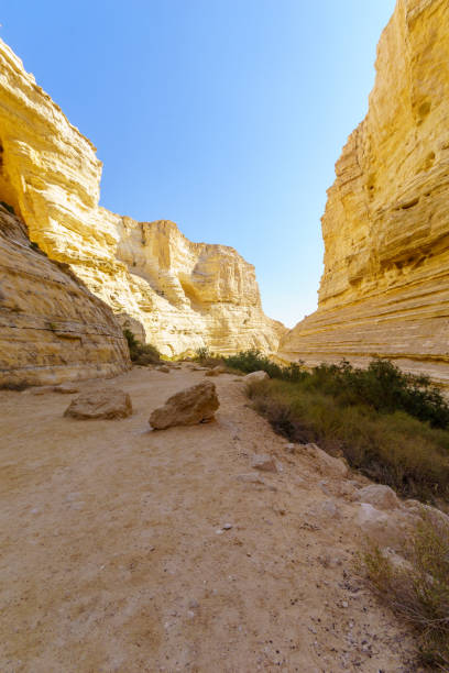 istock Ein Avdat National Park Canyon, oasis in the Negev Desert 1334964339