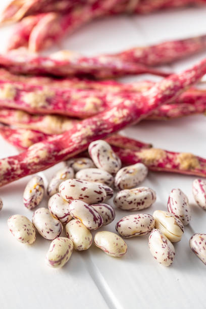istock Cranberry beans. Beans pods 1334965011