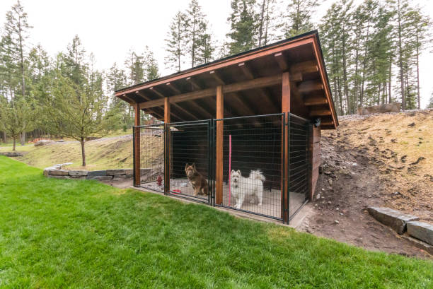 Outside luxury kennel Room for dogs to run and play in backyard of home kennel stock pictures, royalty-free photos & images