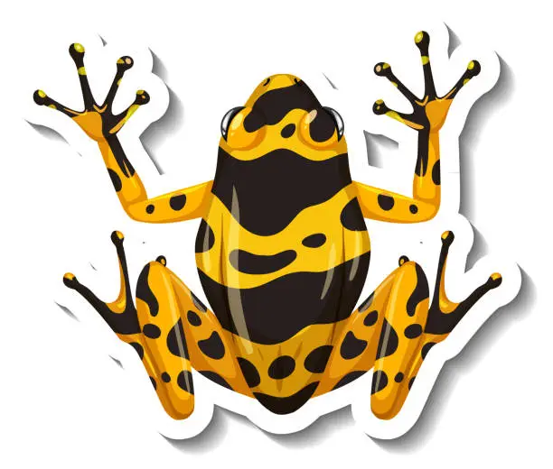 Vector illustration of A sticker template with top view of yellow-banded poison dart frog