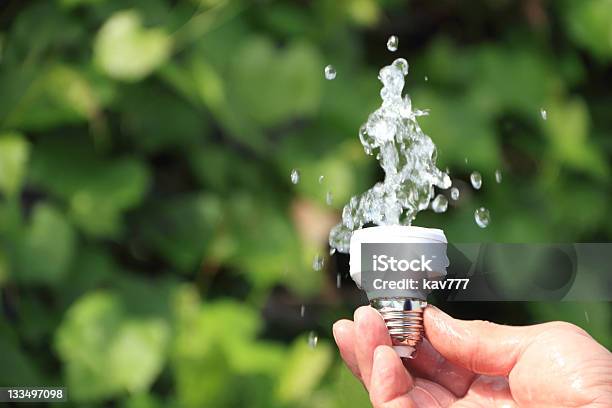 Eco Energy Concept Stock Photo - Download Image Now - Electric Lamp, Energy Efficient, Energy Efficient Lightbulb