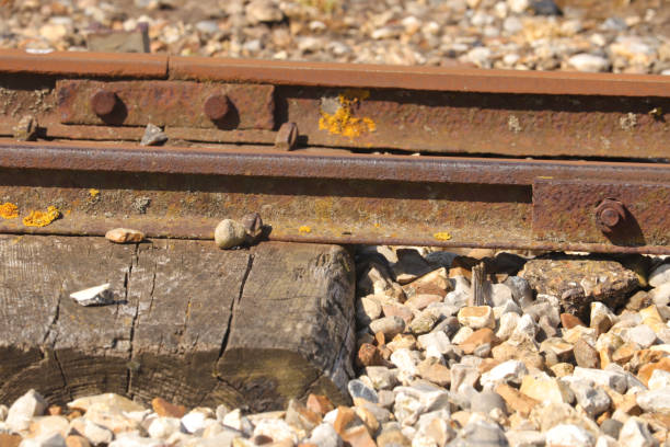 istock Chilling on a beach next to Wells-next-the-sea 1334972456