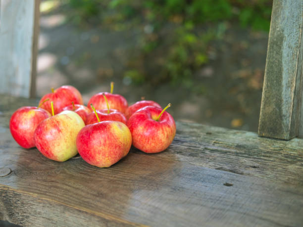 istock Country apples on the bench with the space for your text. 1334973012