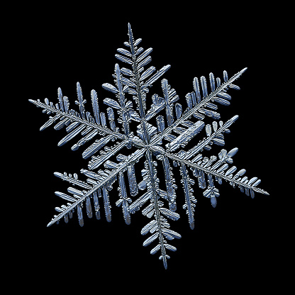 Snowflake isolated on black background. Macro photo of real snow crystal: elegant stellar dendrite with hexagonal symmetry, glossy 3D surface and six flat, fragile arms with complex details.