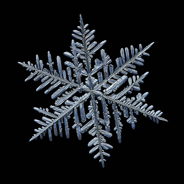 4,075 Real Snowflakes Stock Photos, Pictures & Royalty-Free Images - iStock  | Real snowflakes background