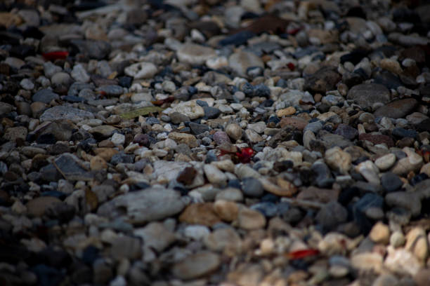 Various size and color rock on floor