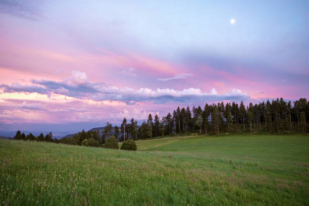 森の上にピンクの雲で夕日空を和り上げ。 - jura canton ストックフォトと画像