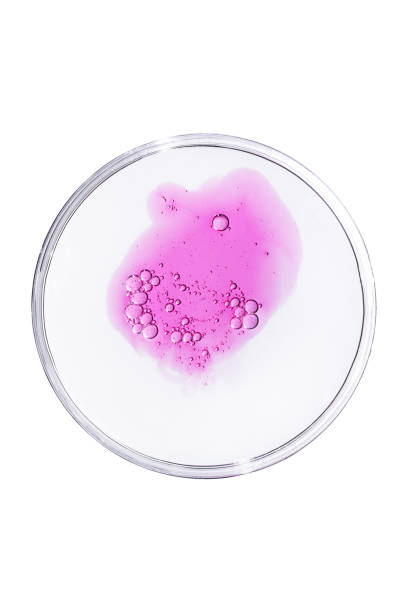 istock Abstract petri dishes with cosmetic serum isolated on white background top view. Science cosmetic laboratory concept. 1334979084