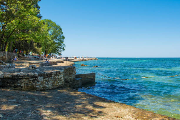 istock Coast North of Porec, Croatia 1334981319