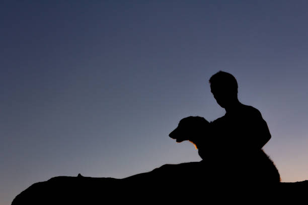 istock Silhouette of man playing with his dog at sunset. Backlight. Copy space. 1334982480