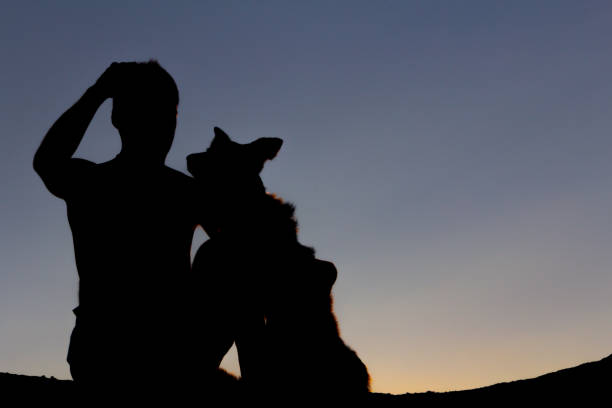 istock Silhouette of man playing with his dog at sunset. Backlight. Copy space. 1334982482
