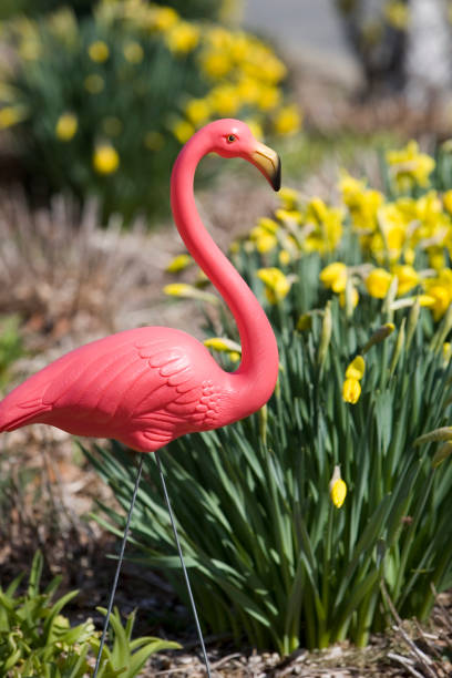 istock Pink Flamingo 133498844