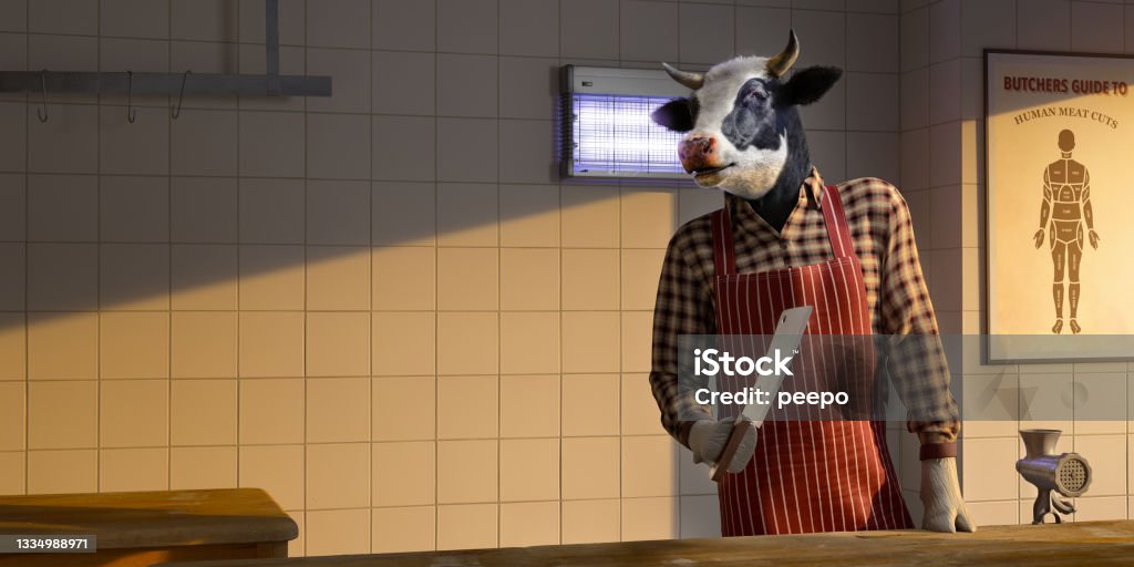 Cow Butcher Dressed In Apron, Shirt and Gloves Holding a Cleaver In Butchers Shop Conceptual image of a black and white diary cow standing, dressed in checked shirt, apron and gloves holding a meat cleaver. The cow leans on a wooden table in an empty butchers shop next to a meat mincer. A poster of human meat cuts is on the white tiled wall. Butcher's Shop Stock Photo