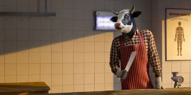 Conceptual image of a black and white diary cow standing, dressed in checked shirt, apron and gloves holding a meat cleaver. The cow leans on a wooden table in an empty butchers shop next to a meat mincer. A poster of human meat cuts is on the white tiled wall.