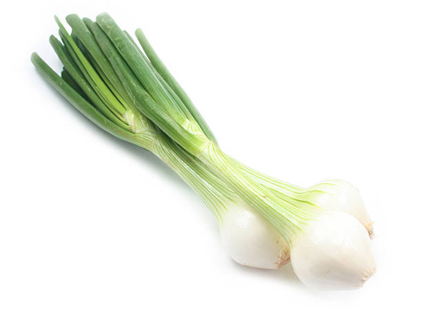 Spring onion isolated on white background stock photo