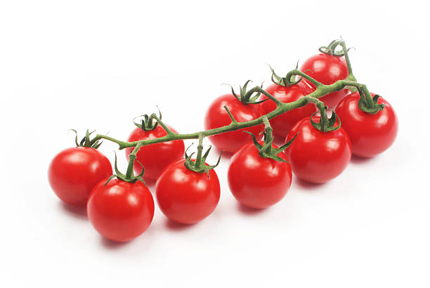 Tomatoes on vine stock photo