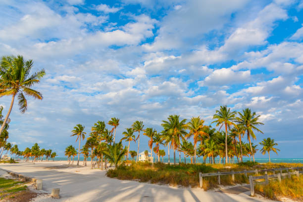 istock Cloudy sky over Crandon Park in Key Biscayne at sunset 1334993166