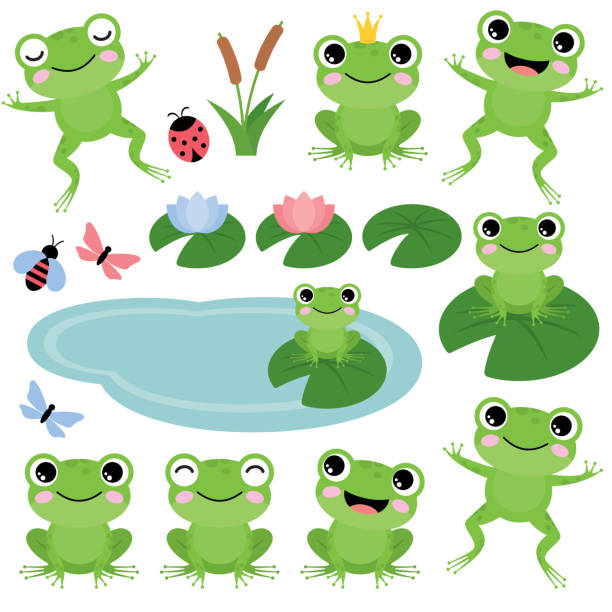 ilustrações, clipart, desenhos animados e ícones de sapos verdes em um backgroun branco - leapfrog