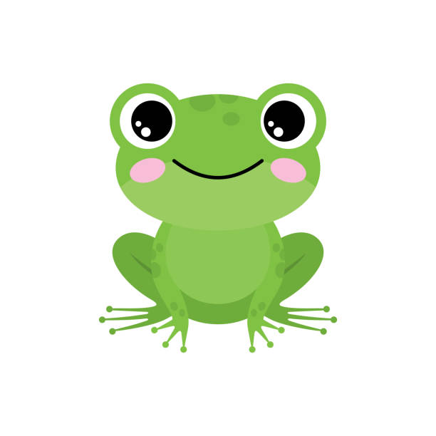 grüner frosch auf weißem hintergrund - frosch stock-grafiken, -clipart, -cartoons und -symbole