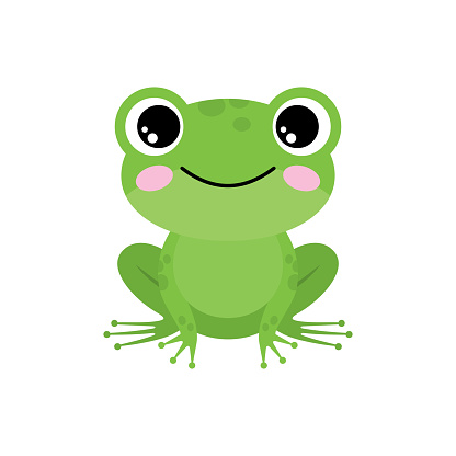 Green frog on a white background. Vector illustration