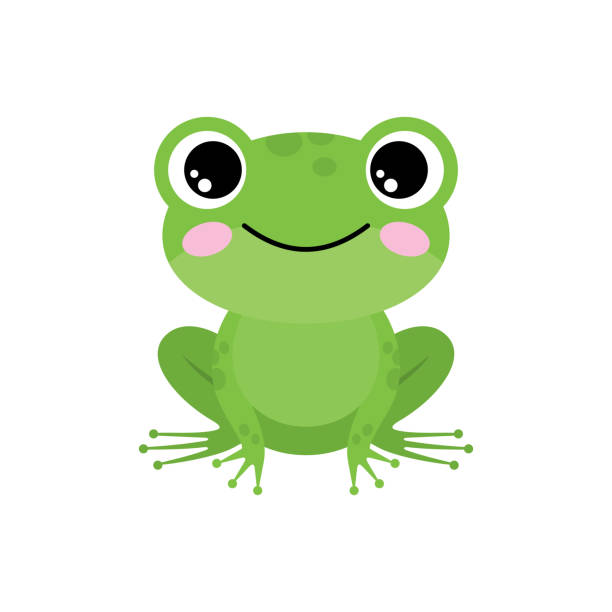 Green frog on a white background Green frog on a white background. Vector illustration toad illustrations stock illustrations
