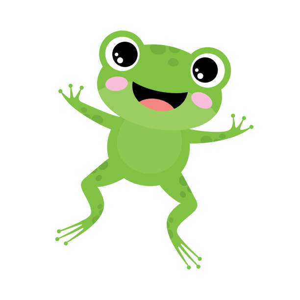 grüner frosch auf weißem hintergrund - leapfrog stock-grafiken, -clipart, -cartoons und -symbole