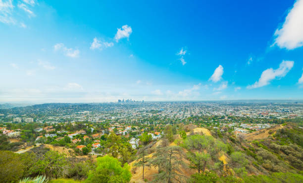 istock Panoramic view of Los Angeles under a blue sky 1334993299