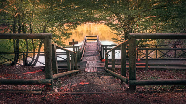 istock Wooden walkway into the lake 1334993447