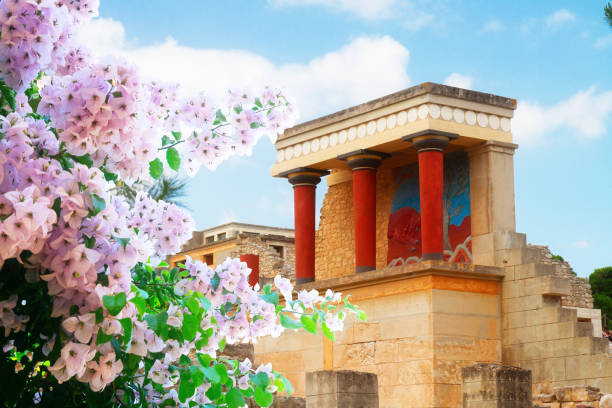 Knossos palace at Crete, Greece view of ancient ruines of famouse Knossos palace with flowers at Crete, Greece knossos photos stock pictures, royalty-free photos & images