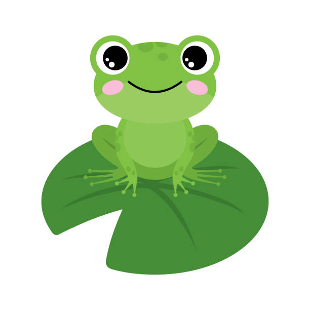 3,400+ Tiny Frog Stock Illustrations, Royalty-Free Vector Graphics
