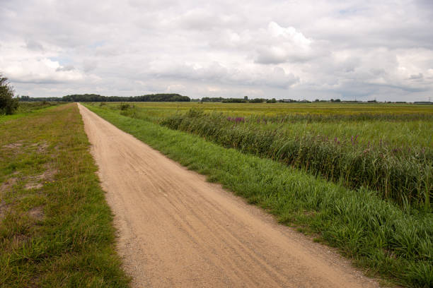 istock Long sandy path in a Dutch nature reserve 1334998186