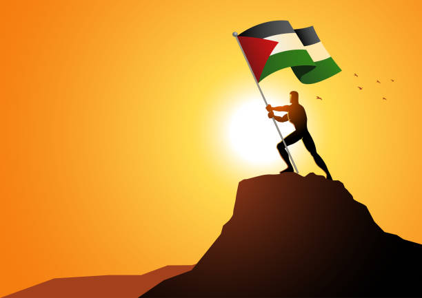 postać mężczyzny trzymającego flagę palestyny na szczycie góry - flag bearer stock illustrations