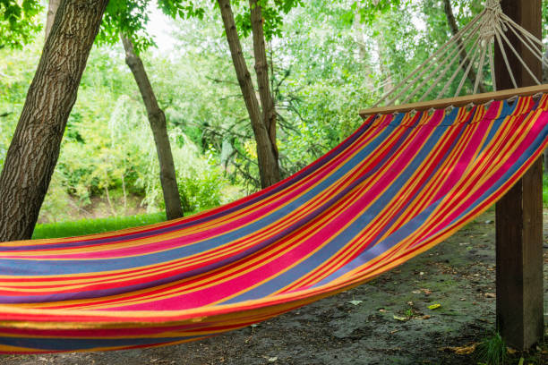 istock An empty red hammock is in the summer forest 1335001651