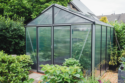 Greenhouse with extra thick poycarbonate panels for insulation in a garden